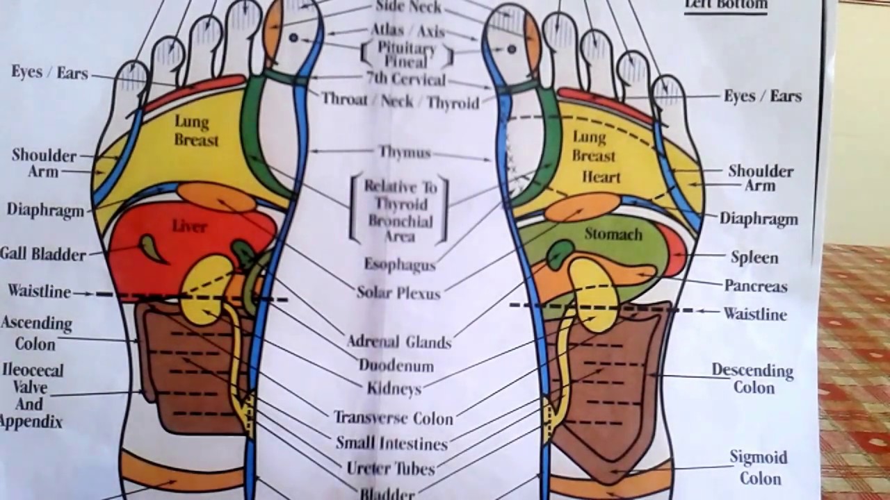 Foot massage map of foot